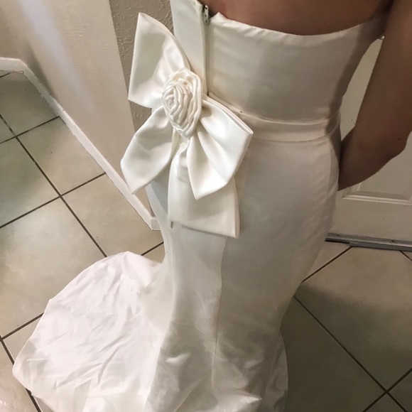 David’s Bridal Wedding Dress - Picture 2 of 10